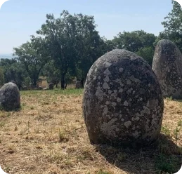 Frame 1707478565 (2)