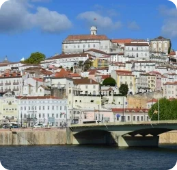 Frame 1707478565 (3)