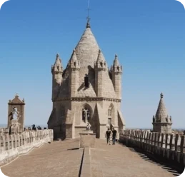 Frame 1707478565 (4)